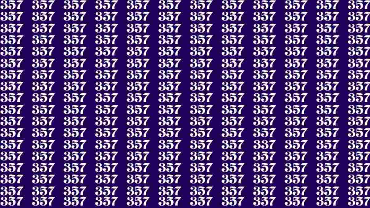 Samo najbolj pozorni lahko najdejo številko 337: optična iluzija za genije