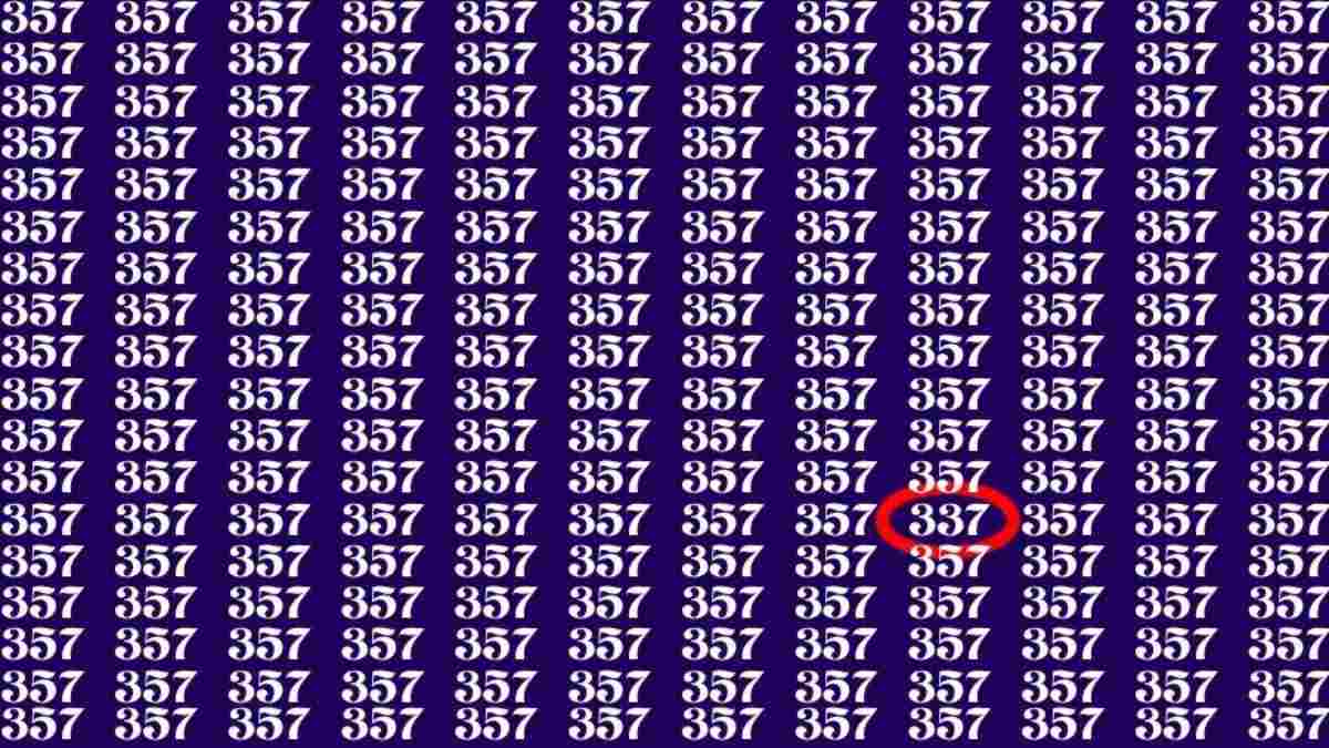 Samo najbolj pozorni lahko najdejo številko 337: optična iluzija za genije