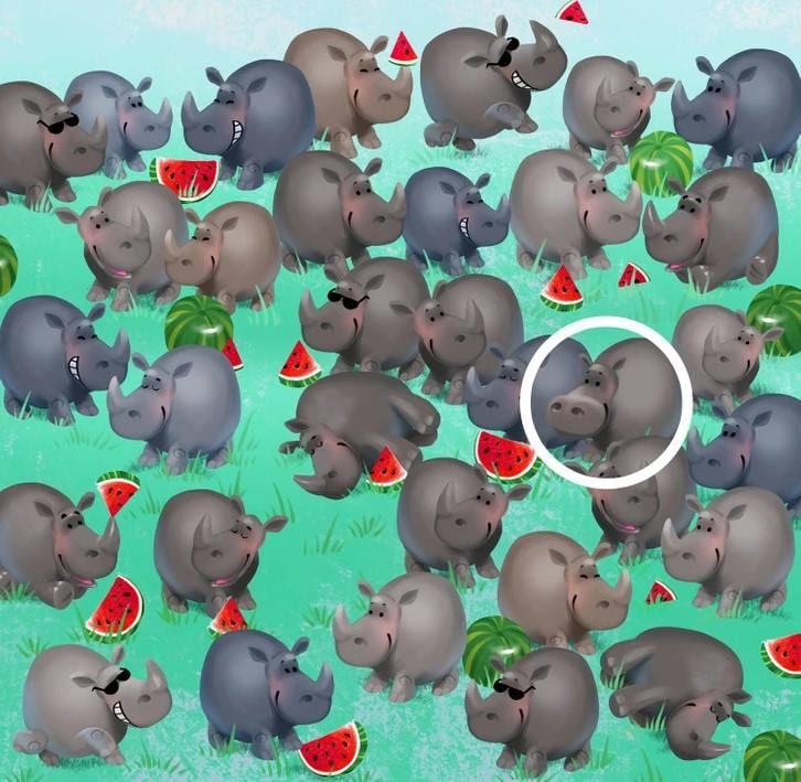 Odgovori / Bright Side Odgovori / Svetla stran