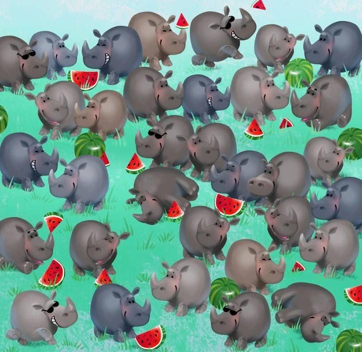 Iluzija / Bright Side Iluzija / Svetla stran