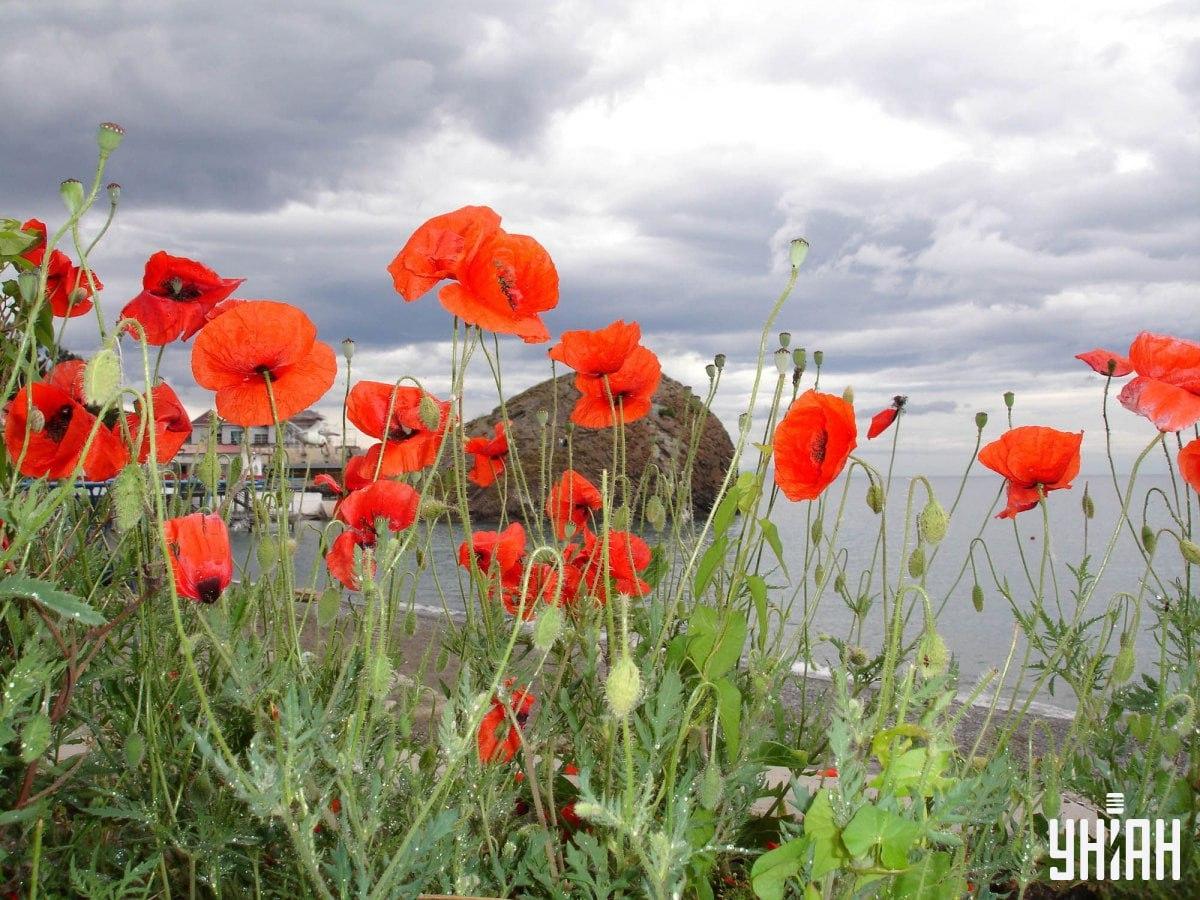 Fotografija Moje Fotografija Moje