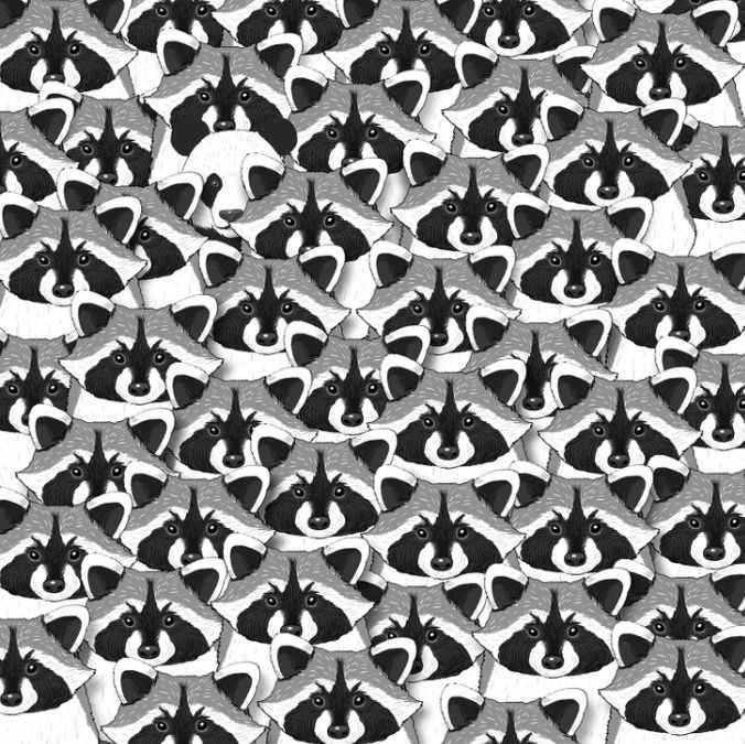 Iluzija za najbolj pozorne: le redki bodo lahko med mešanci našli pando Iluzija za najbolj pozorne: le redki bodo lahko našli pando med ježevci