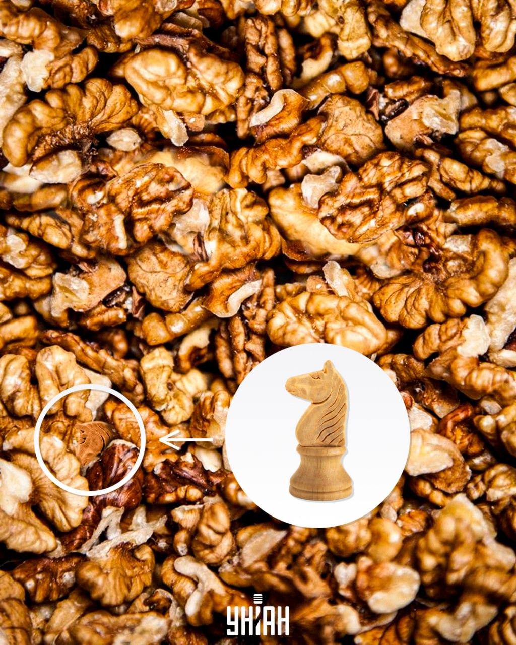 Odziv / fotografija Moje Odziv / foto: Moje