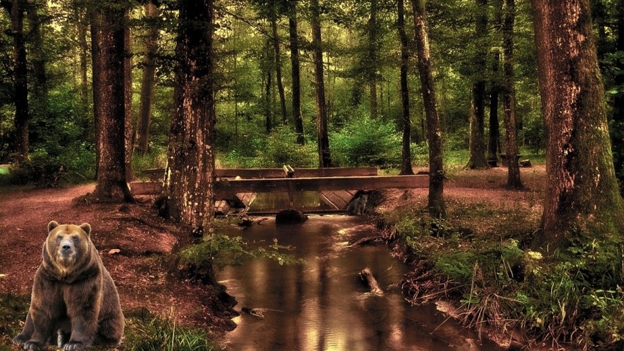 Optična iluzija Optična iluzija