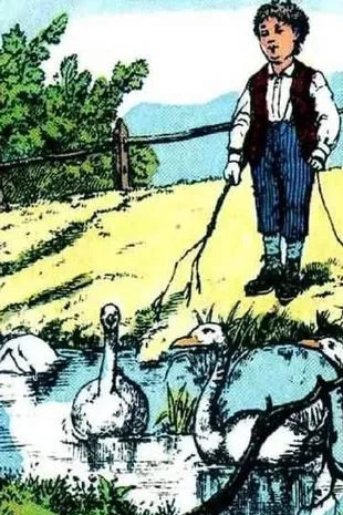 Ali na sliki vidite peto gos?  Ali na sliki vidite peto gos?