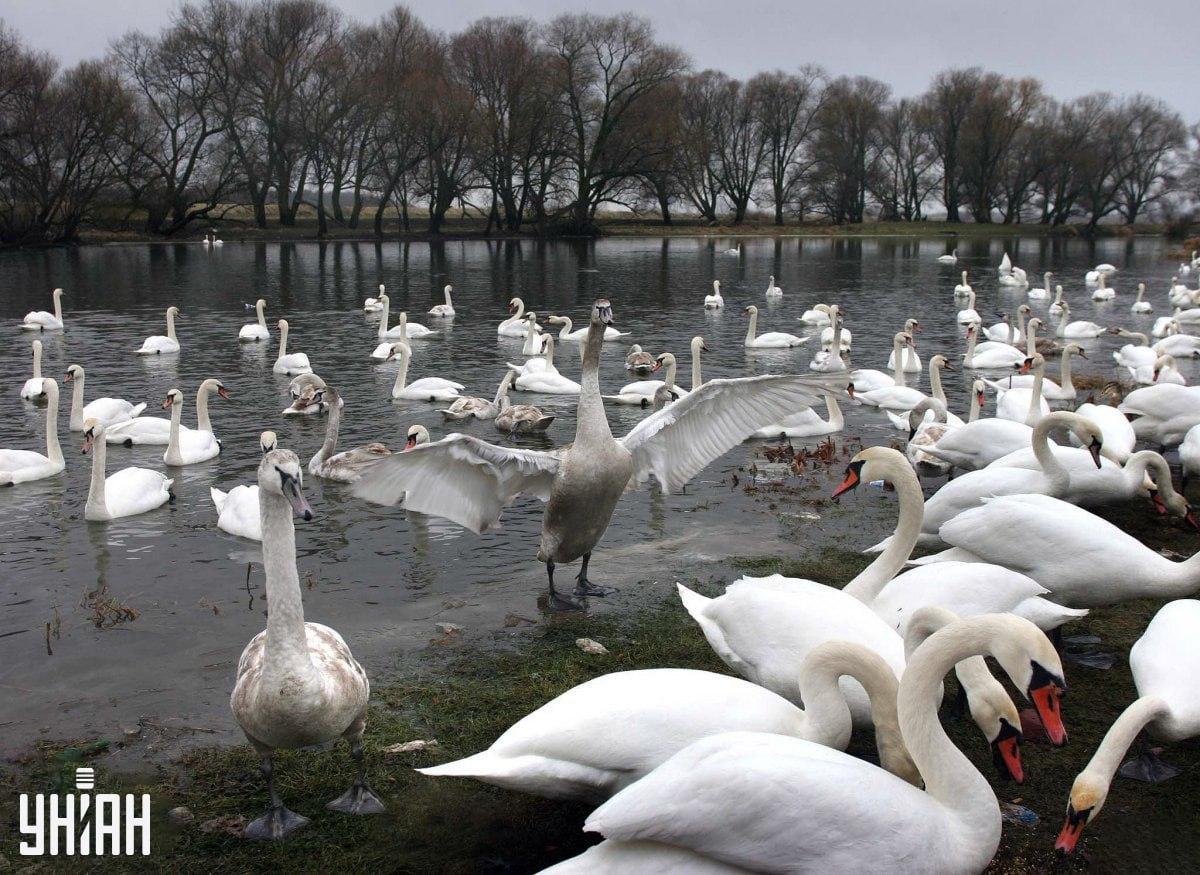 Lahko je v katerem koli delu slike / Moje Collage Lahko je v katerem koli delu slike / Moje Collage