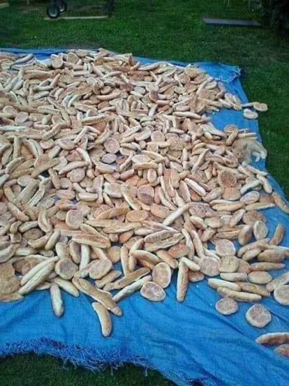 Optična iluzija za ljudi z orlovskim vidom: samo geniji najdejo mačko v 5 sekundah