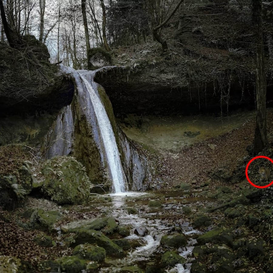 Optična iluzija Optična iluzija