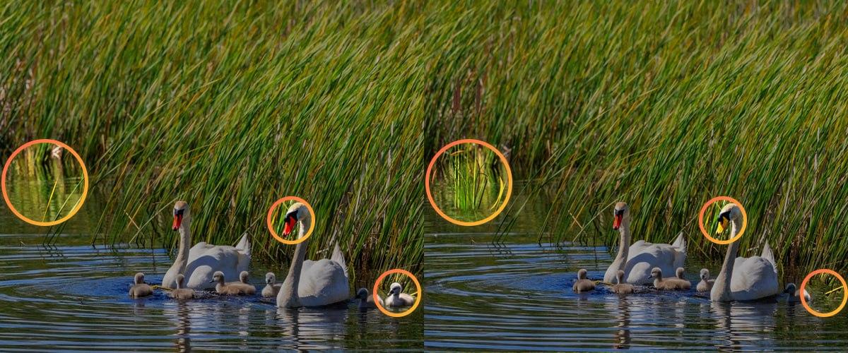 Da bi se spopadli s sestavljanko, je bilo treba biti pozoren na majhne podrobnosti / kolaž Moje Za reševanje sestavljanke je bilo treba biti pozoren na majhne podrobnosti / kolaž Moje