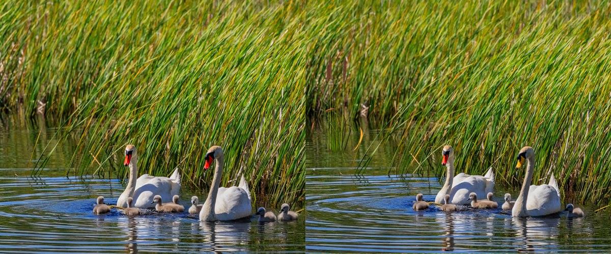 Zelo hitro najdi razlike med slikami / kolažem Moje Zelo hitro poiščite razlike med slikami / kolaž Moje