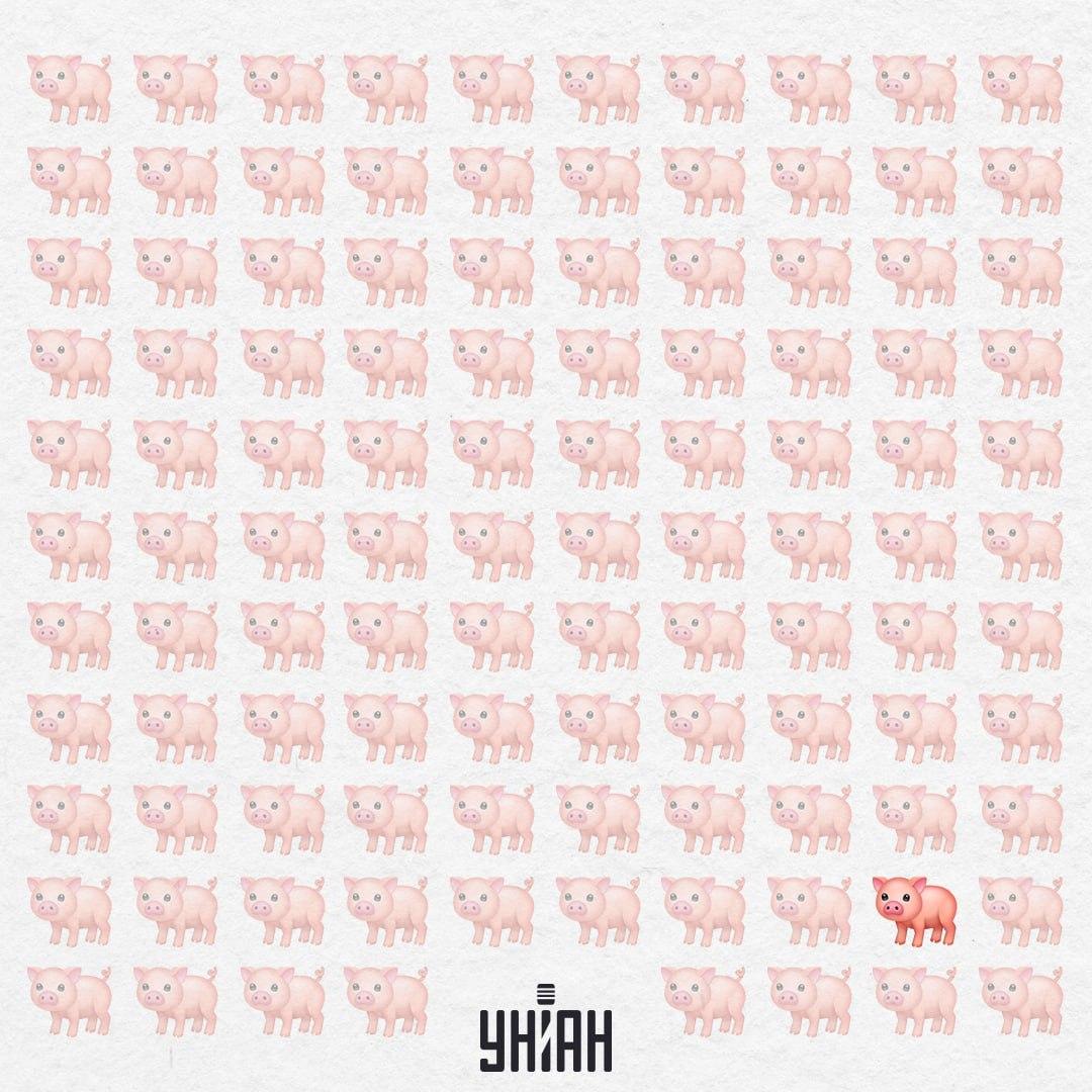 Ta pujsek je res čuden, nima rožnatega repa / Moje Kolaž Ta pujsek je res čuden, saj nima rožnatega repa / Kolaž Moje