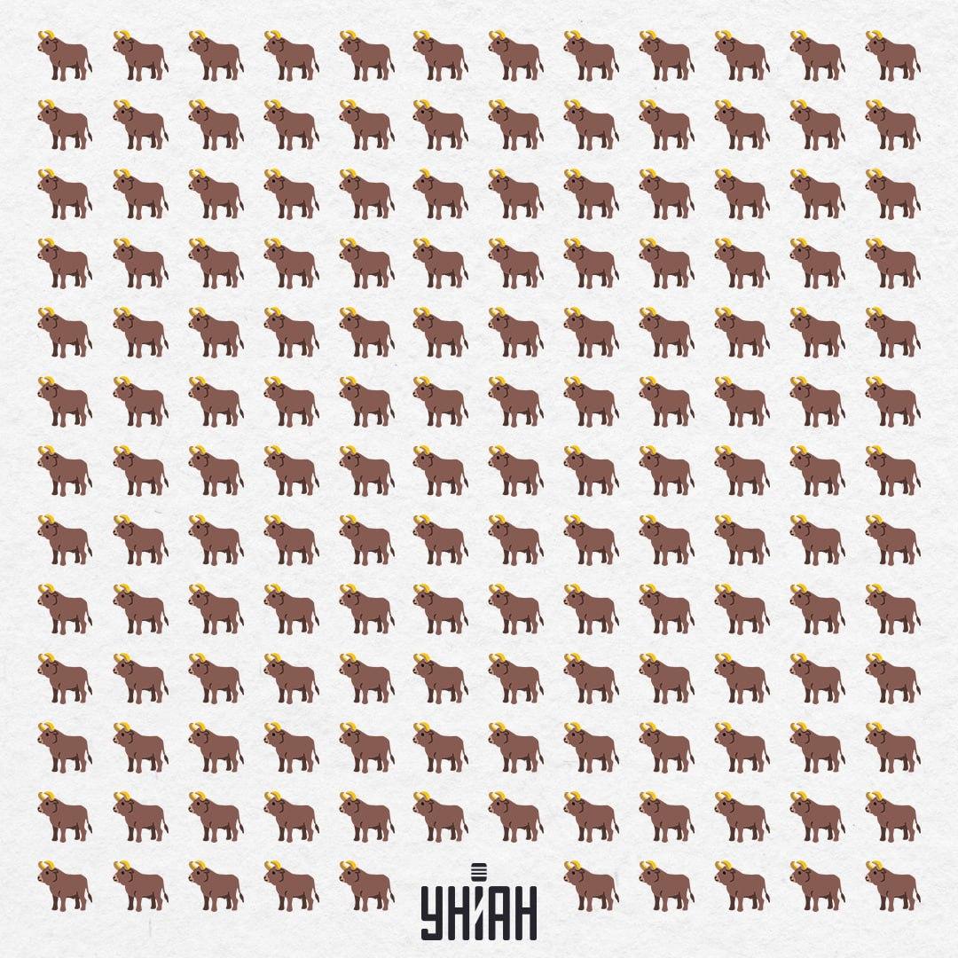 Tukaj jih je 154, vendar ena ni takšna - morali bi jo videti v 10 sekundah / Moje Collage Tukaj jih je 154, vendar eden ni takšen - oglejte si ga v 10 sekundah / Moje Collage