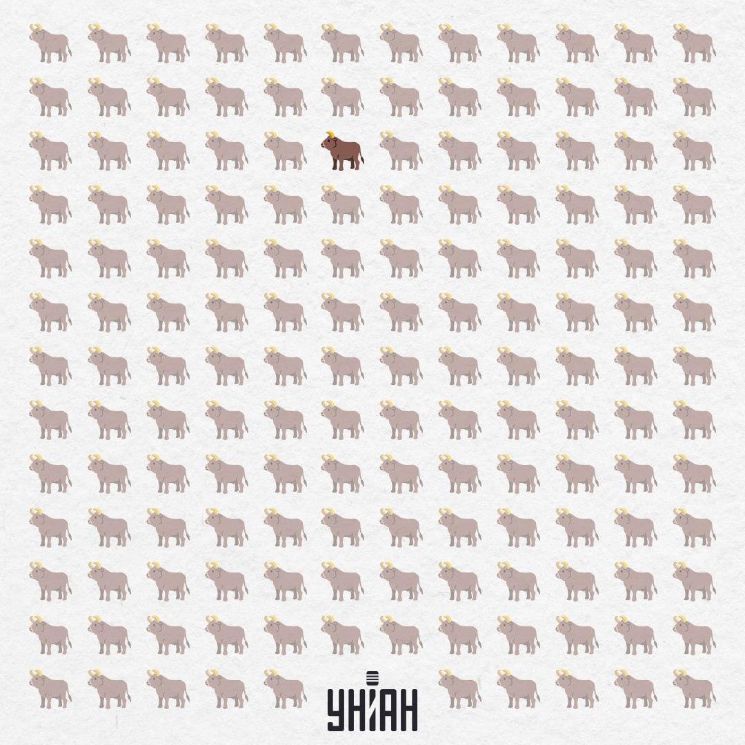 Skrival se je na sredini, skoraj od zgoraj / Moje Collage Skrival se je na sredini, skoraj z vrha / Moje Collage