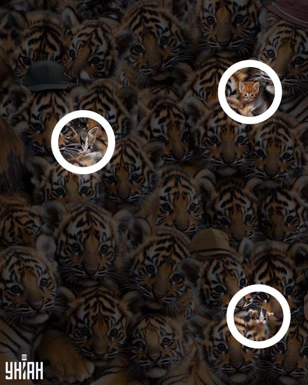 Odgovor / Moje Odgovor / Moje