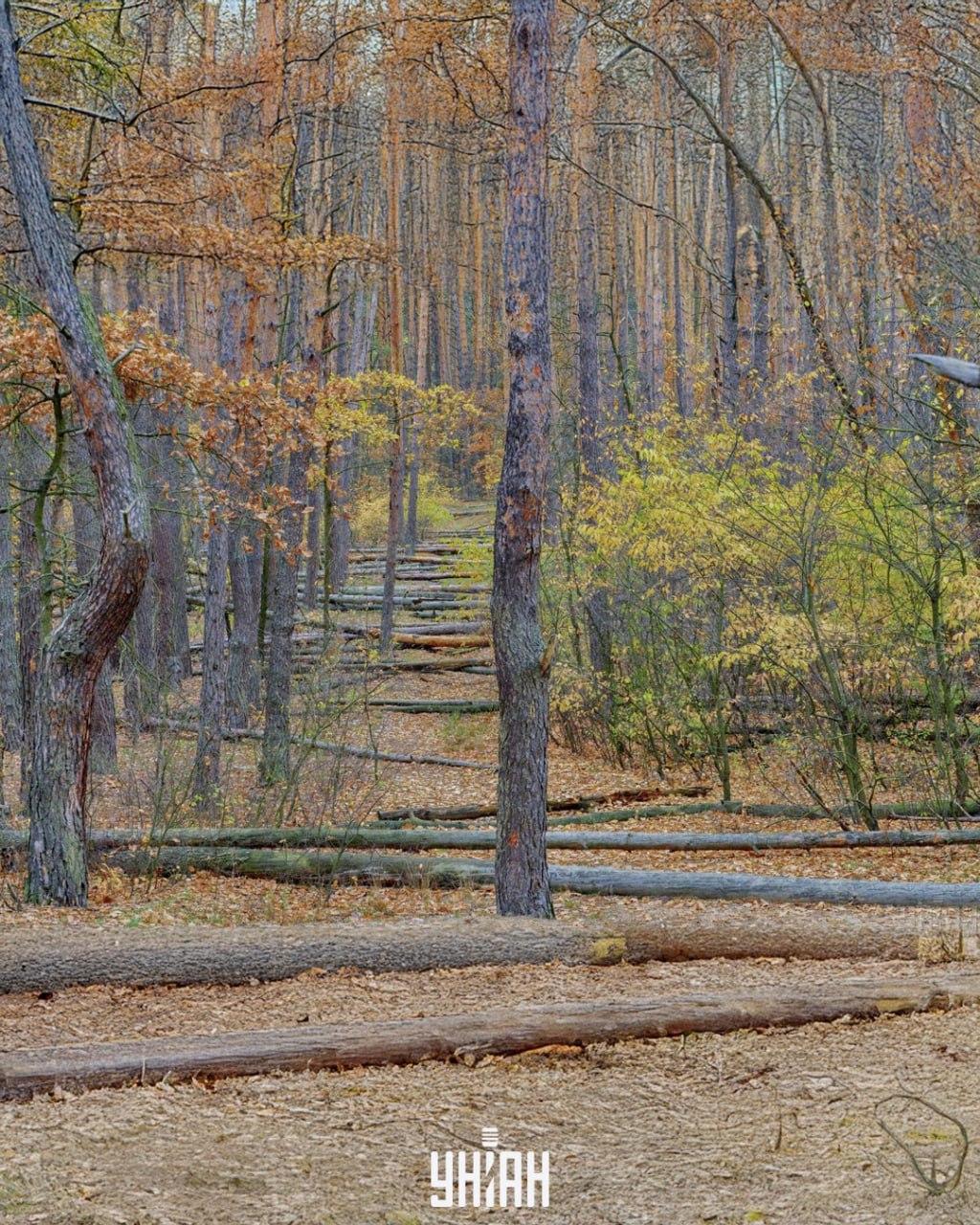 Fotografija Moje, Falin Volodymyr foto: Moje, Falin Volodymyr