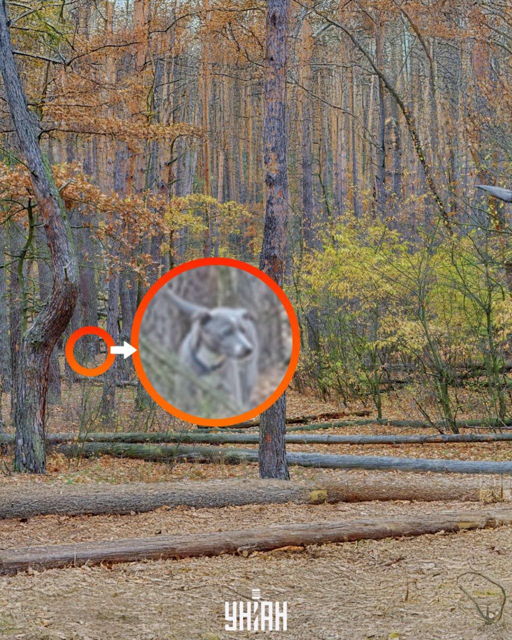 Fotografija Moje, Falin Volodymyr Fotografija Moje, Falin Volodymyr