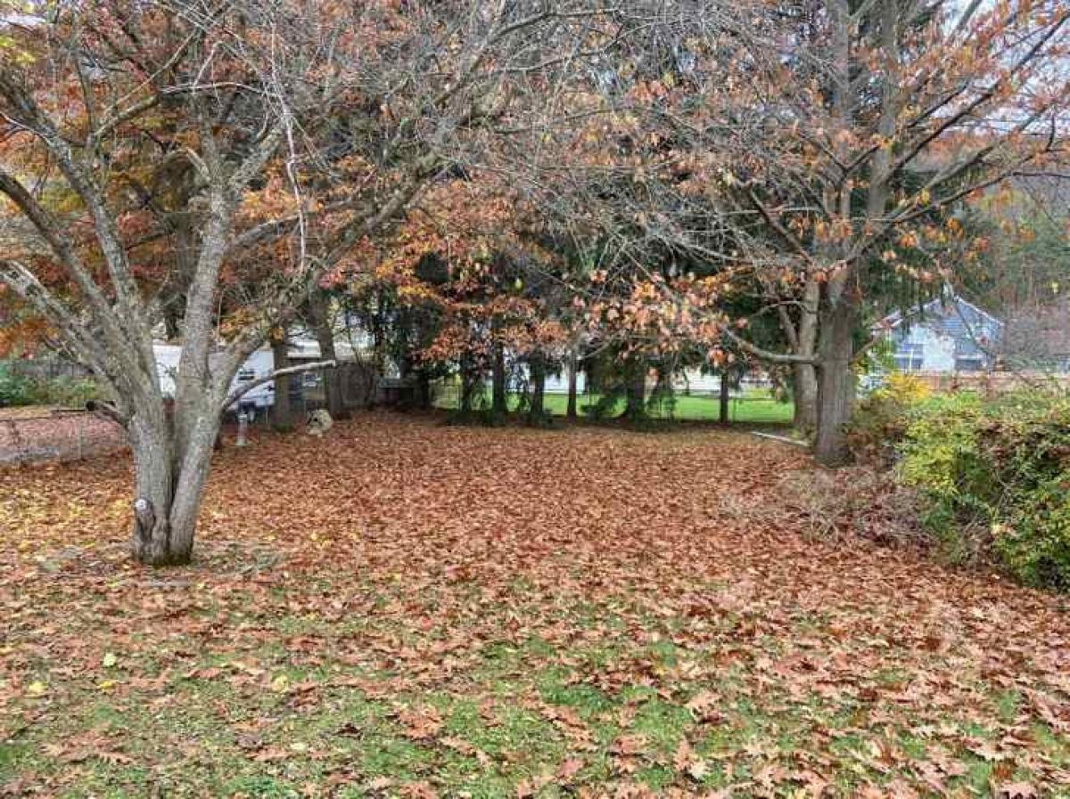 Pasja uganka Pasja uganka