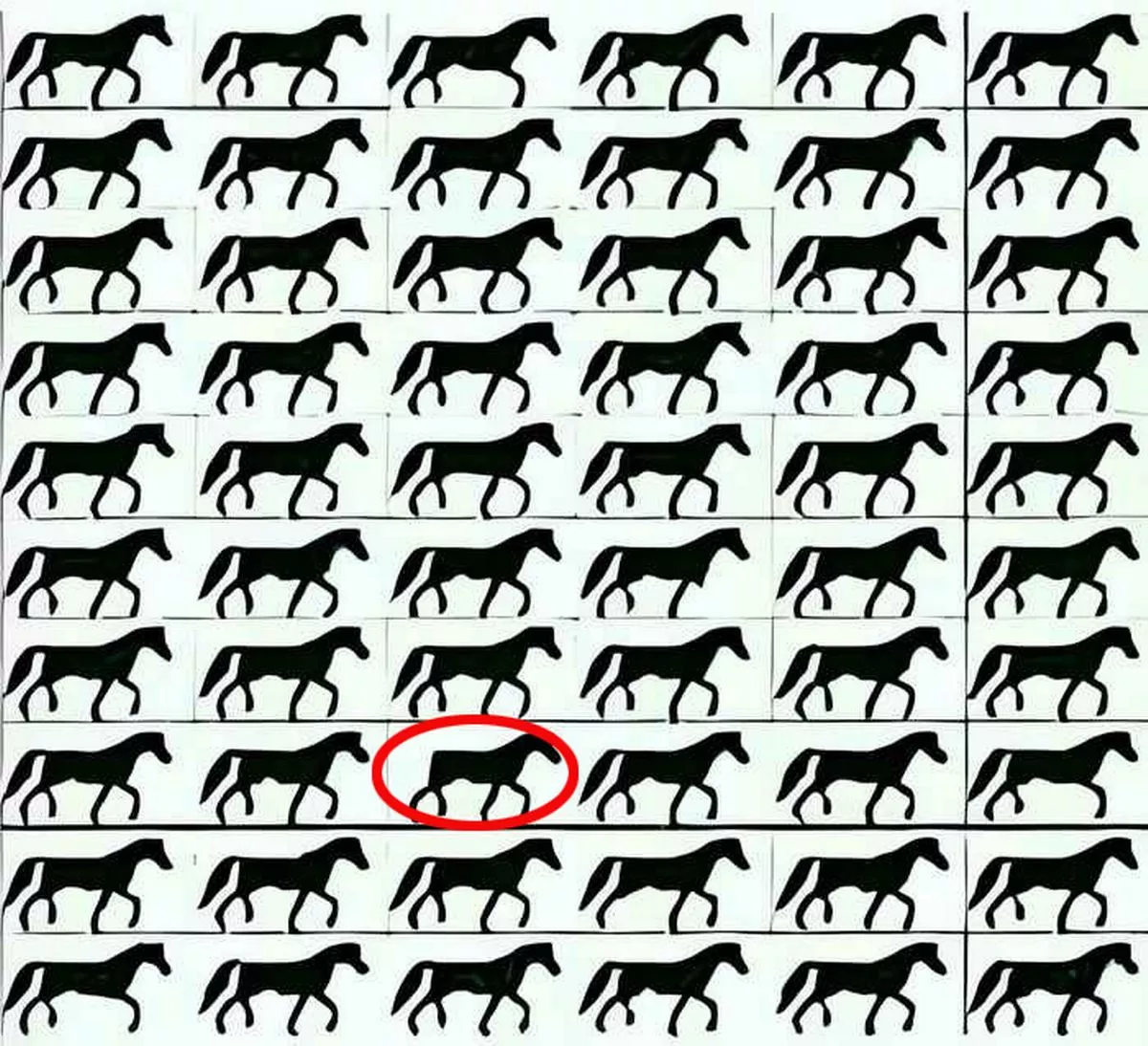 Težka uganka: v 5 sekundah morate najti konja brez repa