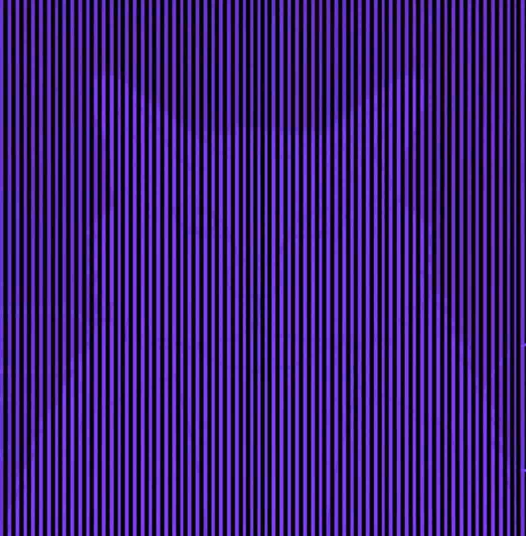 Optična iluzija za najbolj pozorne: v 4 sekundah morate najti žival