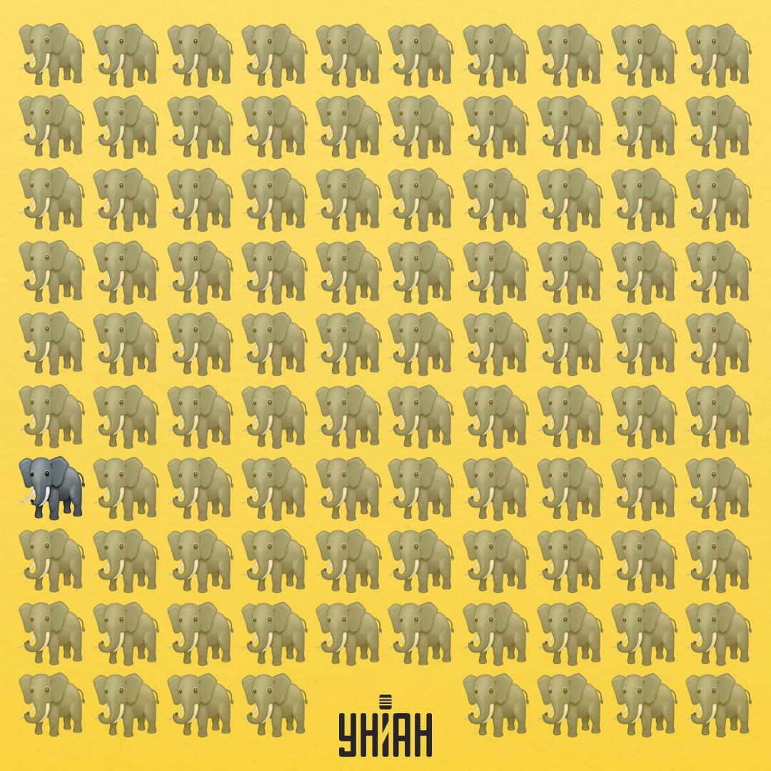 Eden od slonov ima drugačno deblo kot drugi / kolaž Moje