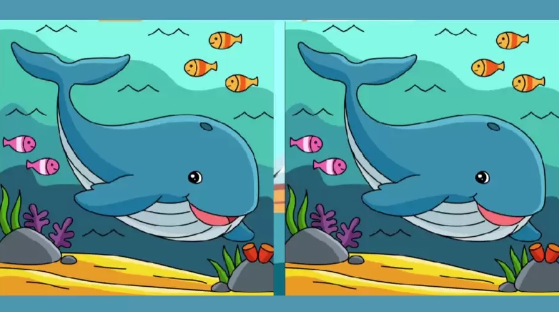 Samo 30 % jih bo našlo razlike na sliki: zaradi te optične iluzije se vam bo zavrtelo v glavi