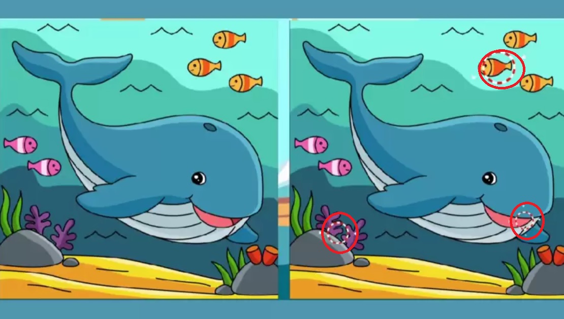 Le 30 % jih bo našlo razlike na sliki: zaradi te optične iluzije se vam bo zavrtelo v glavi.