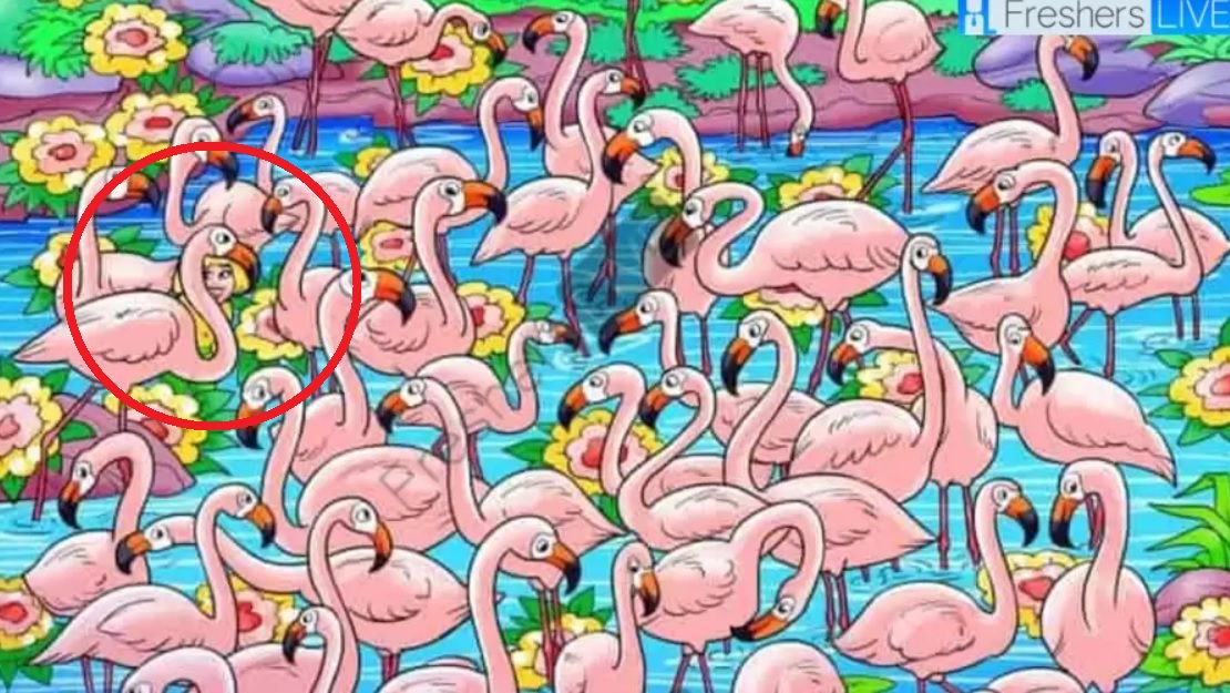 Poiščite dekle med flamingi v 8 sekundah: iz te uganke se vam bo zavrtelo v glavi V 8 sekundah poišči dekle med flamingi: ta uganka ti bo povzročila vrtoglavico