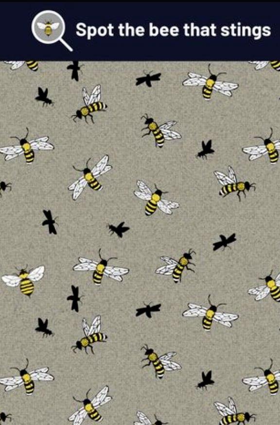 Uganka / Make My Blinds