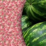 Čudovita optična iluzija: le redki bodo v 10 sekundah našli