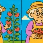 IQ test: v 51 sekundah poišči 3 razlike na slikah