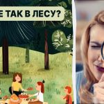 Iskanje hrošča v gozdu v 5 sekundah: hiter IQ test Iskanje hrošča v gozdu v 5 sekundah: hiter IQ test