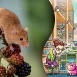 Iskanje miške v knjižnici v 12 sekundah: izjemna uganka za
