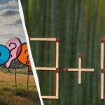 Izziv za možgane: za rešitev uganke morate premakniti le eno