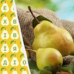 Le 2 % ljudi lahko v 10 sekundah najde besedo