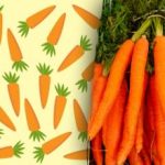 “Nenavadno” korenje bodo našli le ljudje z “orlovskim vidom”: skrivnost,