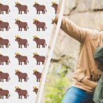 Neverjetno težka uganka: v 10 sekundah morate med 154 drugimi