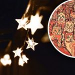 Optična iluzija za ljudi z orlovskim vidom: med mačkami morate