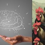 Preprost IQ test: v 7 sekundah poiščite piščanca med petelini Preprost IQ test: v 7 sekundah poiščite piščanca med petelini