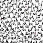 Rebus za tiste z odličnim vidom: poiskati morate tri pande brez sončnih očal Rebus za tiste z odličnim vidom: poiskati morate tri pande