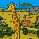 Super IQ test: v 41 sekundah poiščite 3 razlike na