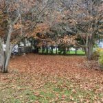 Uganka, ki vam bo razbila možgane: v 7 sekundah morate