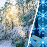 V 8 sekundah moraš kot detektiv najti besedo “winter”: presenetljivo