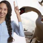 V 9 sekundah med racami in labodi poiščite premeteno srako: sestavljanka s "pastmi" V 9 sekundah med racami in labodi poiščite premeteno srako: