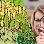 V tej optični iluziji bodo kačo med žirafami v 11 sekundah našli le ljudje z visokim inteligenčnim količnikom V tej optični iluziji bodo kačo med žirafami v 11