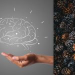 Vsi vidijo stožce, vi pa morate v 7 sekundah najti ježka: test IQ Vsi vidijo stožce, vi pa morate v 7 sekundah najti