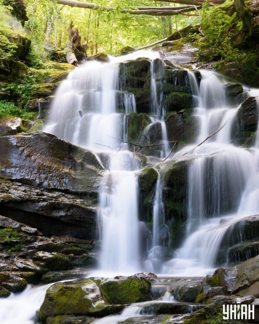 Iskanje veverice na zapleteni uganki / kolaž Moje