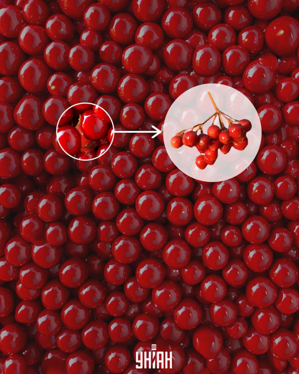 Kalino je bilo mogoče hitro najti, če si opazil del veje / Moje collage