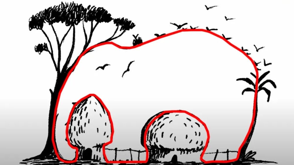 Rešitev optične iluzije