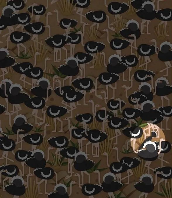 Zabavna uganka za ljudi z visokim inteligenčnim količnikom: dežnik bodo našli le nekateri