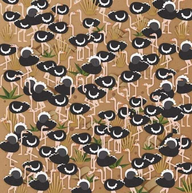 Zabavna uganka za ljudi z visokim IQ: le redki bodo našli dežnik